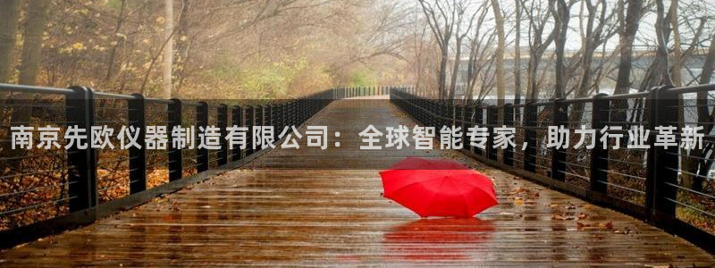 恒行2周74OOO5：南京先欧仪器制造有限公司：全球智能专家