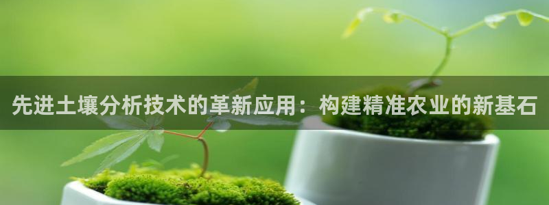 恒行娱乐河沂74ooo5程：先进土壤分析技术的革新应用：构建