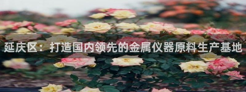 恒行2沈74OOO5：延庆区：打造国内领先的金属仪器原料生产