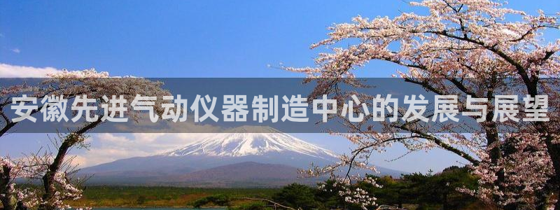 恒行娱乐卫74OOO5：安徽先进气动仪器制造中心的发展与展望