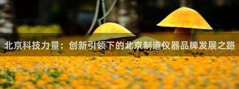 恒行2那74OOO5：北京科技力量：创新引领下的北京制造仪器