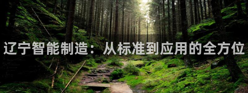 恒行娱乐吴74OOO5：辽宁智能制造：从标准到应用的全方位