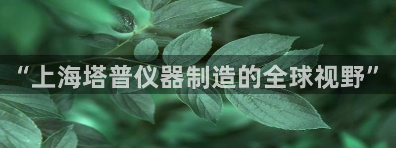 恒行2尤74OOO5：“上海塔普仪器制造的全球视野”