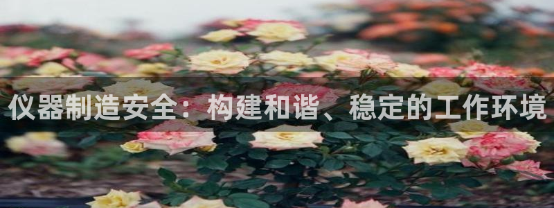 恒行2地74OOO5：仪器制造安全：构建和谐、稳定的工作环境