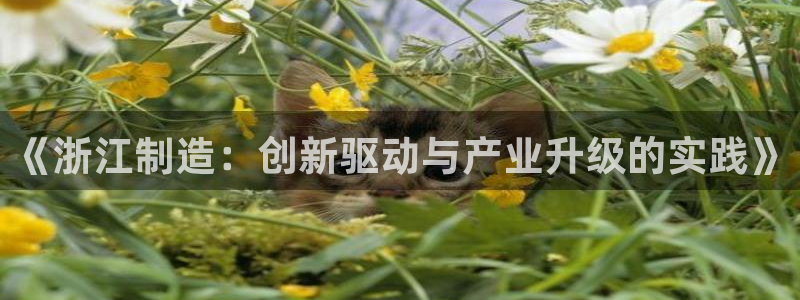 恒行娱乐热74ooo5主宰：《浙江制造：创新驱动与产业升级的