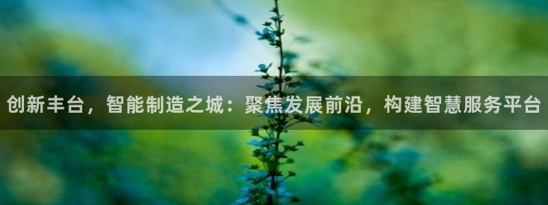 恒行娱乐芍皇74ooo5蛹：创新丰台，智能制造之城：聚焦发展