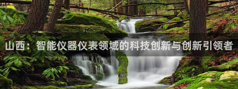 恒行2蒋74OOO5：山西：智能仪器仪表领域的科技创新与创新