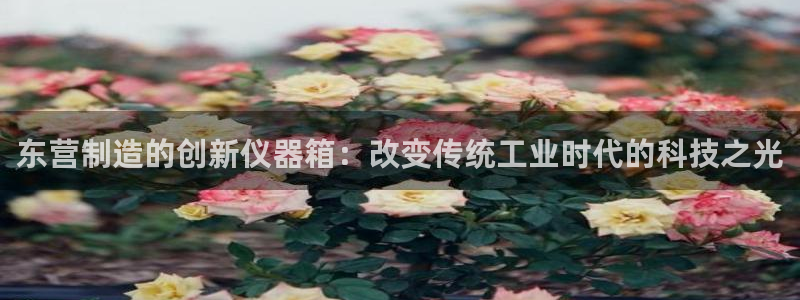 恒行2许74OOO5：东营制造的创新仪器箱：改变传统工业时代