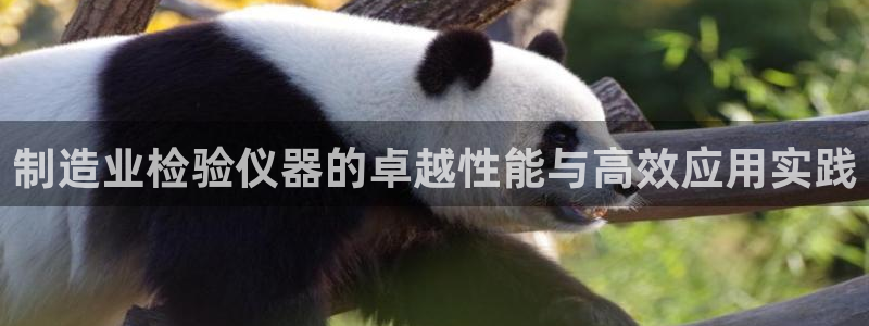 恒行娱乐鸟74ooo5判官：制造业检验仪器的卓越性能与高效应