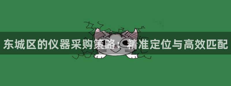 恒行2那74OOO5：东城区的仪器采购策略：精准定位与高效匹