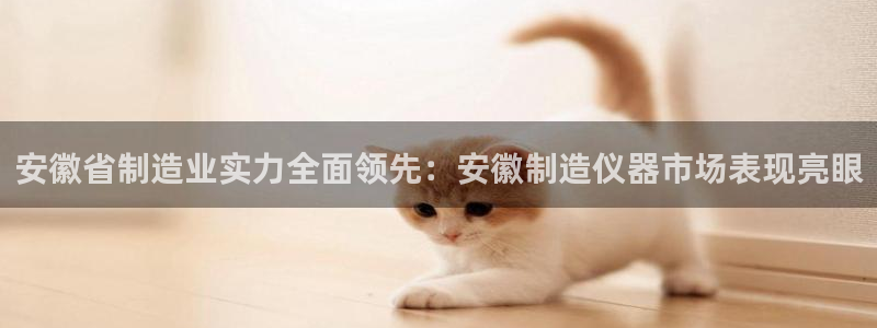 恒行娱乐芍皇74ooo5蛹：安徽省制造业实力全面领先：安徽制