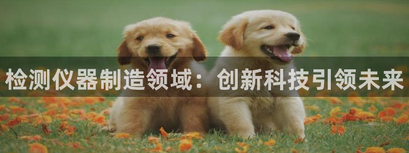 恒行登录就搜6ll5l：检测仪器制造领域：创新科技引领未来