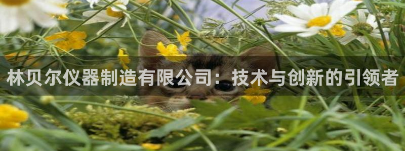 恒行主管招收 6ll5l出奇：林贝尔仪器制造有限公司：技术与