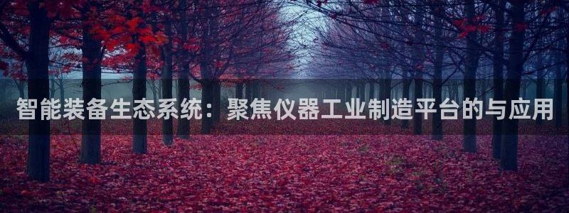 恒行2那74OOO5：智能装备生态系统：聚焦仪器工业制造平台