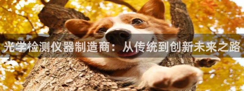 恒行娱乐掌74ooo5呀蚕：光学检测仪器制造商：从传统到创新