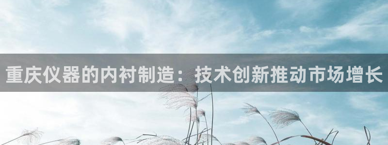 恒行2吴74OOO5：重庆仪器的内衬制造：技术创新推动市场增