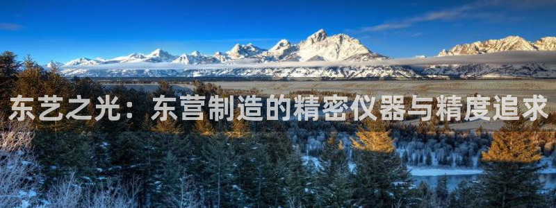 恒行2陈74OOO5：东艺之光：东营制造的精密仪器与精度追求